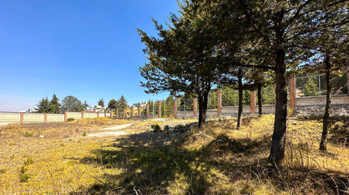 Terreno En Zinacantepec De 8,500mts Para Desarrolladores O Rancho