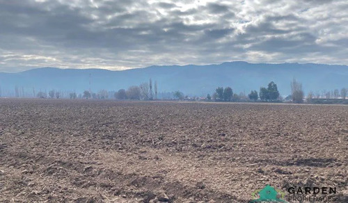 Venta 11 Hectreas, Proyecto San Jose De Toro, Nancagua