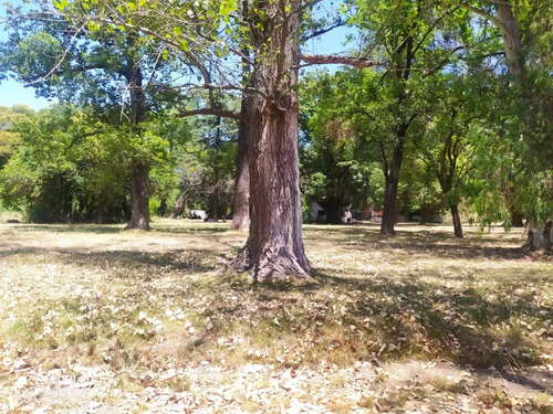 Imagen 2 de 11 de Venta Campo Moreno