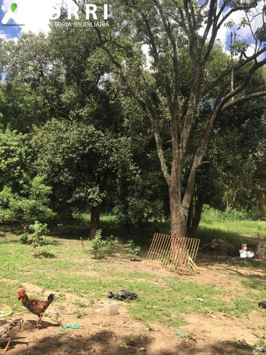 Imagem 17 de 23 de Chácara Á Venda No Monte Líbano Em Araçoiaba Da Serra - Ch00333 - 69208942