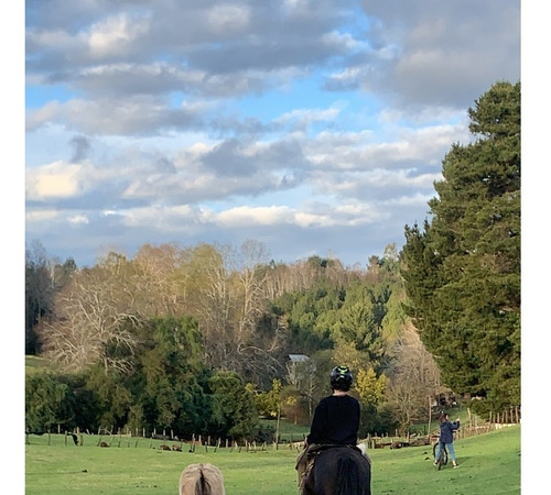 Imagen 4 de 16 de Colico, Hermosa Cabaña De Campo Con Tinaja