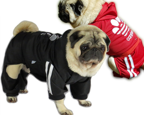 Roupa De Cachorro/ Gato Inverno Frio Moleton Caninas