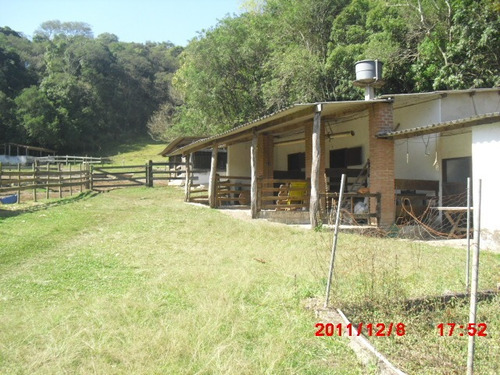 Magnifica Chácara Com 40.000m2