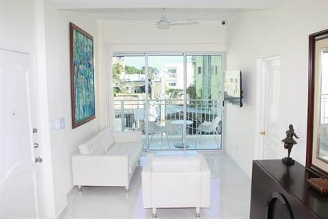 Excelente Apartamento En El Centro Zona Colonial Remodelado