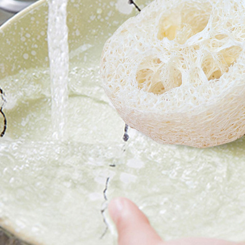 Rebanadas De Orgánica 10 Cortes De Luffa Orgánica Para Jabon