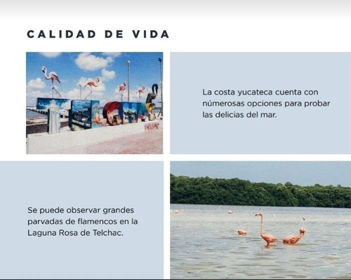 Imagen 4 de 10 de Lotes Residenciales Cerca De La Playa En Telchac
