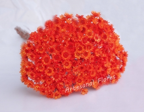 Flor Seca Sempre Viva Lembrancinha Casamento 2 Maços Laranja