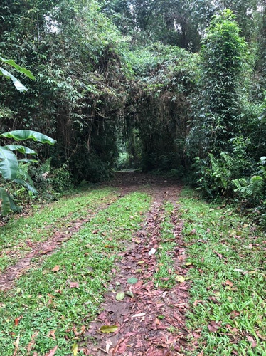 Imagem 5 de 9 de Excelente Área 9.313m2 Com Beleza Natural, Fronteira Com Rio Cachoeira Grande, Apropriada Para Hotel Luxo, Clínica De Repouso, Clube - Vt304