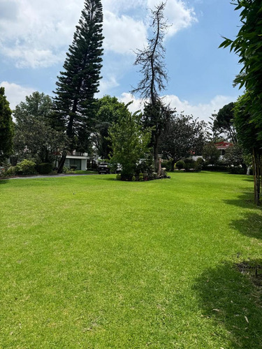 Magnifico Terreno