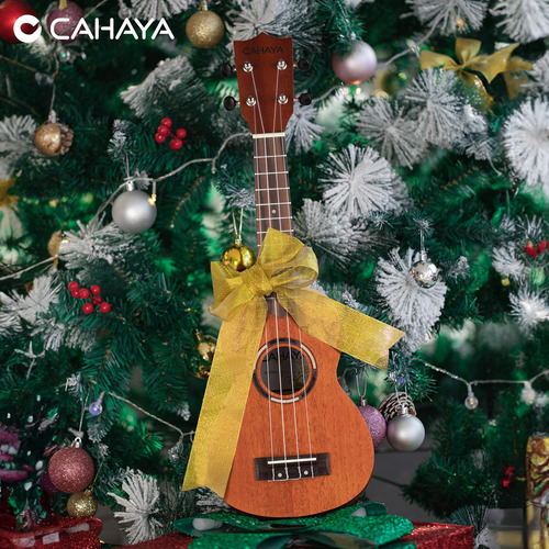 Ukelele Soprano 21 Pulgadas Kit Para Principiantes Con Bolsa