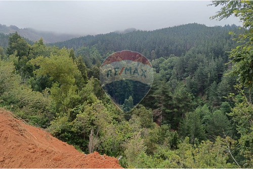Se Vende Parcela San Ignacio