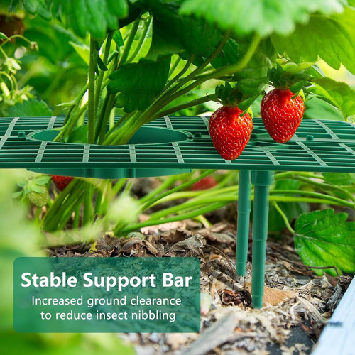 Soporte Para Fresas Soportes Para Fresas Para Jardín Bastido