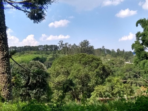 Imagem 5 de 17 de Terreno - Te00050 - 69320696