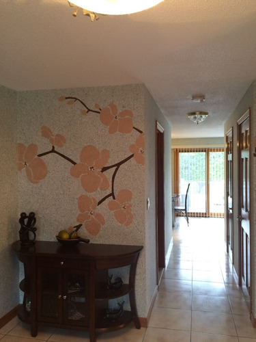 Acabado Decorativo A Paredes Y Techo Interiores Optima 52 Amarillo