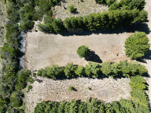 Terreno Lote En Venta En Villa Lago Meliquina, San Martin De Los Andes, Patagonia