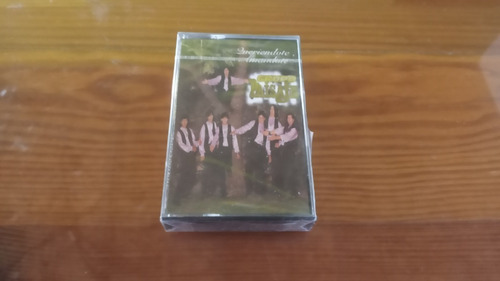Grupo Paisaje  Querindote Amndote  Cassette Nuevo 