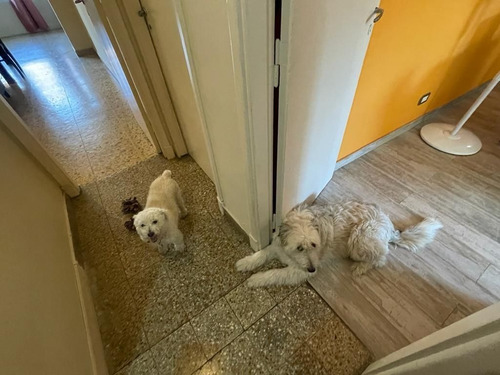 Imagen 3 de 10 de Casa En Venta De 3 Dormitorios En Temperley