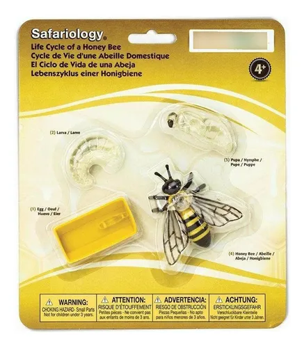 Ciclo De Vida Abeja Juguete Safari Didáctico Niño Febo