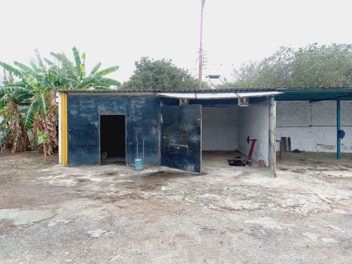 Terreno En Alquiler El Roble Los Guayos Ideal Para Empresa De Transporte