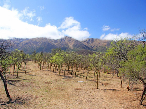 Imagen 7 de 14 de Venta De Lotes En Carpintería Zona Alta Loteo Cuesta Del Sol
