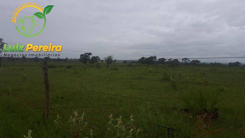 Imagem 1 de 4 de Fazenda À Venda Em Naviraí - Ms - De 140 Alqueires (dupla Aptidão) - 1787
