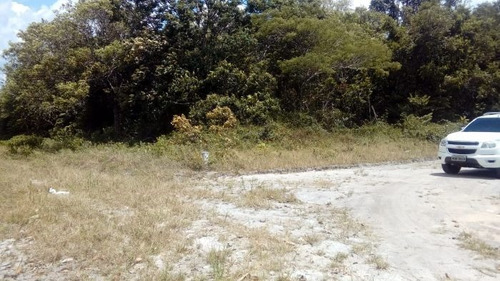 Imagem 2 de 4 de Terreno À Venda Na Rua Presidente Eurico Dutra S/n°, Al Shaday, Rio Preto Da Eva - Am - Liv-14079