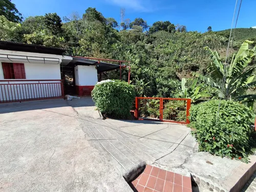 Venta De Finca Cafetera En Fresno Tolima
