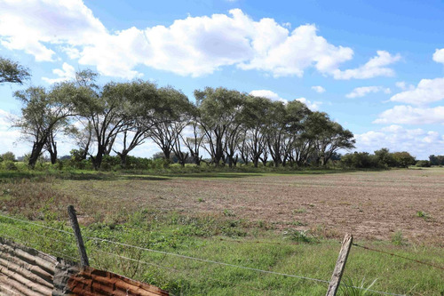 Imagen 12 de 25 de Venta Campo 83,3 Hectareas Agrícolas En Lima
