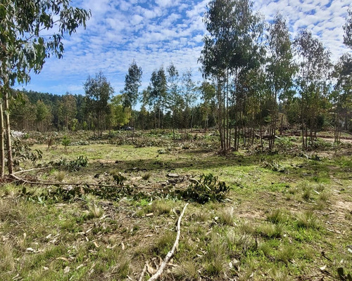 Sitios En Condominio Quebrada Küyen De Pichilemu