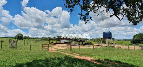 Imagem 11 de 18 de Fazenda Na Região De Bauru À Venda, 118 Alq Por R$ 15.000.000 - Bauru - Bauru/sp - Fa0016