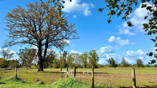 Terreno Construccion En Venta En Río Negro