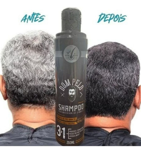 Kit 10 Shampoo Escurecedor De Cabelo Dom Pelo