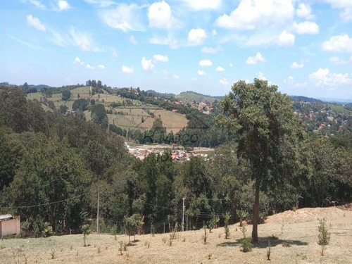 Imagem 7 de 16 de Área Jundiaizinho (terra Preta) Mairiporã/sp - 1309