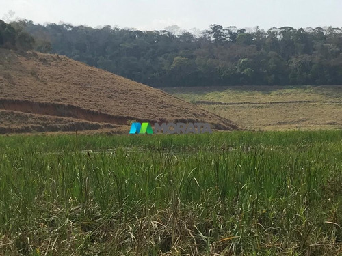 Imagem 9 de 15 de Fazenda - Zona Rural - Ref: 5241 - V-mta5241