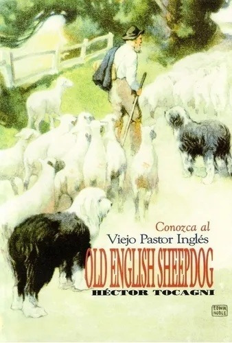 Conozca El Viejo Pastor Ingles, Old English Sheepdog - Tocag