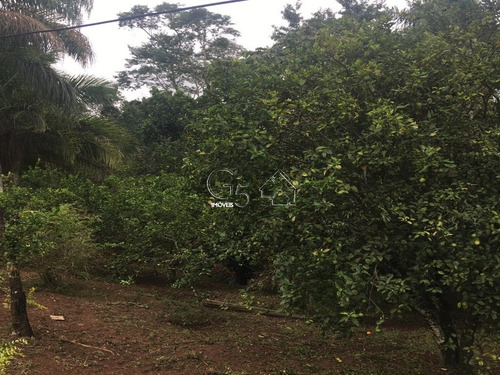 Imagem 13 de 30 de Chacará Piracia/joánopolis - Ch00038 - 70700395