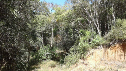 Imagem 12 de 24 de Casa Em Fase De Acabamento - Parque Florestal - Ca0892