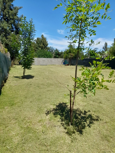 Lote Terreno