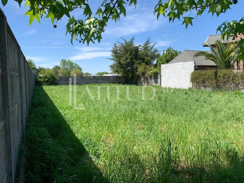 Terreno En Calle Gabriela Mistral (71503)
