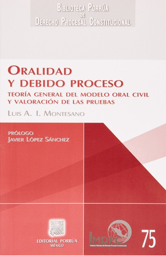 Oralidad Y Debido Proceso Montesano Luis A Editorial Porr