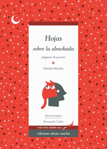 Hojas Sobre La Almohada: Paginas De Poesia - Mendez Natalia