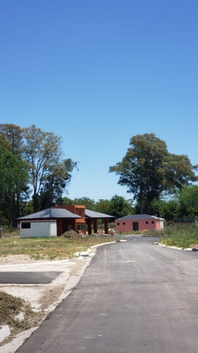 Imagen 7 de 9 de Lote En Venta En San Juan Chico