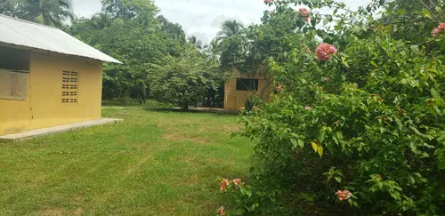 Finca En Venta A 15 Minutos Del Centro De Cerete