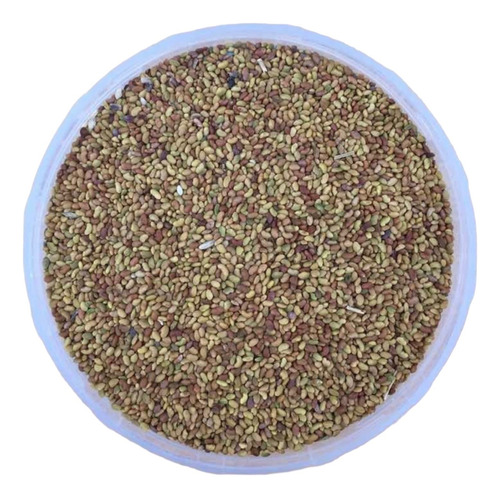 Semillas Alfalfa Naturales- Germinar Brotes Alimento Sembrar