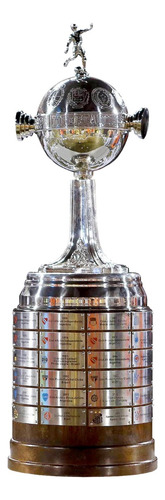 Miniatura Taça Libertadores Botafogo 2024 + Quadro Botafogo