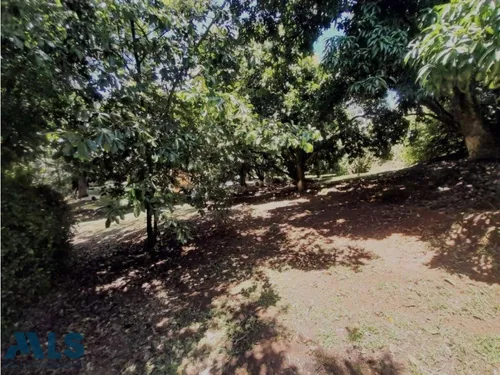Finca Independiente En V. La Miranda Con Excelente...(mls#252449)