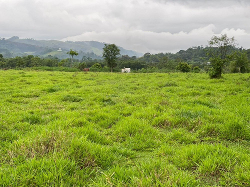 Imagem 3 de 14 de S12- Lotes De 1000m Com Preço Especial