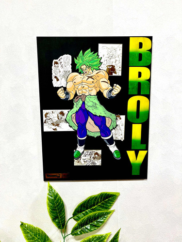 Cuadro Broly - Dragon Ball Super