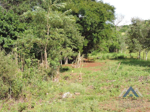 Chácara Com 1 Dormitório À Venda, 8000 M² Por R$ 480.000,00 - Gleba Ribeirão Cafezal - Londrina/pr - Ch0031
