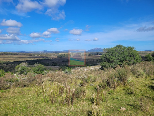 Imagen 3 de 22 de Campo Turístico 145hás En Zona De Pan De Azúcar